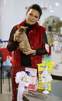   22-23  2014 WCF- 3-105-169A8230 copy.jpg